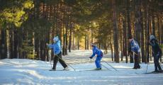 国家雪车雪橇中心9月底制冰完成 国家队将入驻训练