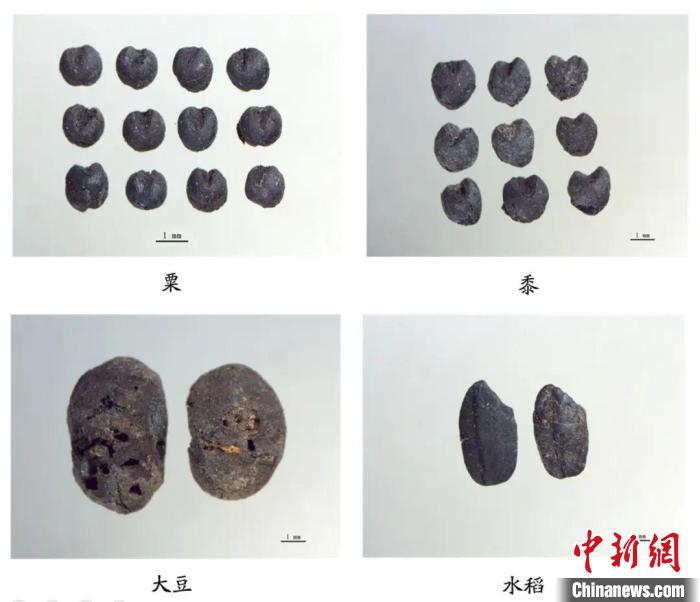 考古专家阐释山西新发现夏商遗址文化价值