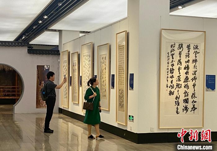 书法爱好者参观邀请展 项菁 摄